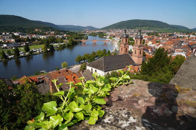 Blick von der Mildenburg auf Miltenberg und den Main sowie  auf Bürgstadt und in Richtung Freudenberg. 