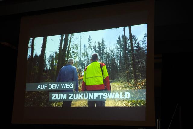 Premiere des Films "Auf dem Weg zum Zukunftswald"  | Foto: Lukas Nitzl