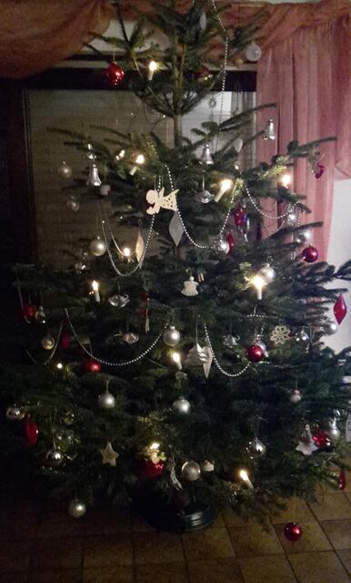 Kurt Schüßler aus Kleinheubach stellt seinen Christbaum ein paar Tage vor Heiligabend auf, damit zum Fest alles fertig ist.  | Foto: privat