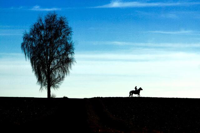 Kein Feiern der Jahreswende im Freien!
Die Corona-Verordnung in Bayern verbietet das Feiern auf öffentlichen Plätzen und Anlagen.
Außerdem ist ein Alkoholverbot auf besonders belebten Bereichen ausgesprochen.