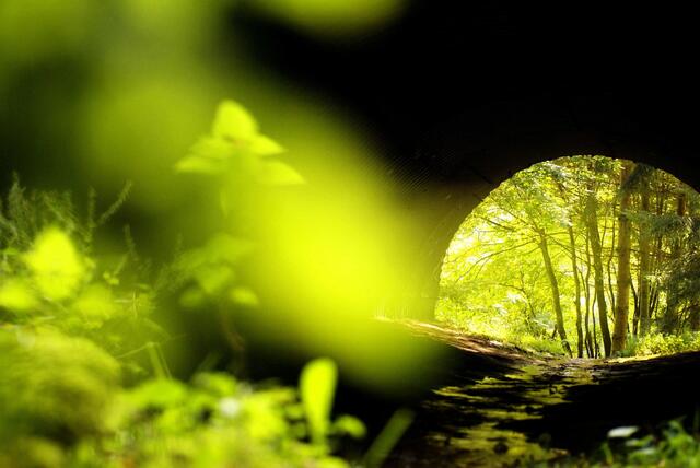 Was haben wir nur für eine Zeit!

Ohne Frage: die Corona-Jahre 2020 und 2021 werden in die Geschichtsbücher eingehen - soviel dürfte schon sicher sein!

Und es gibt 2022 vieles Erfreuliche und nicht wenige Verbesserungen - trotz Pandemie!