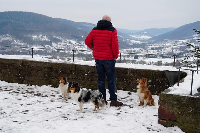 Wie werden wir das neue Jahr erleben?