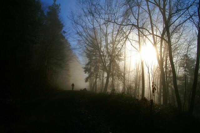 Viele Winterurlauber bleiben in der Region. Radsportler bei Bürgstadt. 