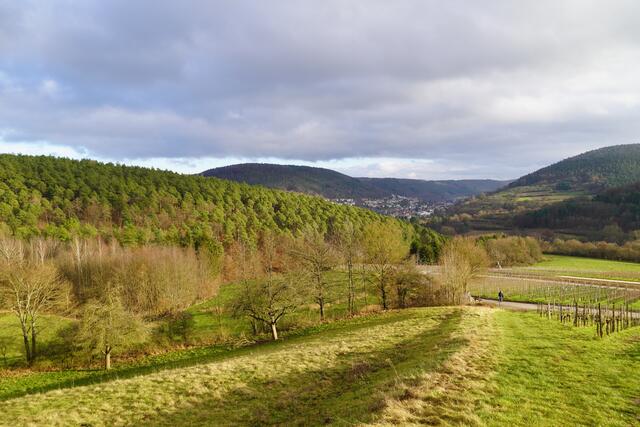 Bei Bürgstadt in den Weinbergen mit Blick nach Eichenbühl im Erftal. Gesehen am Samstag, dem 8.1.2022. 