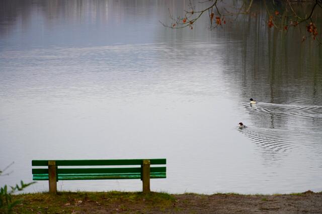 Wer Stille und Natur-Erlebnis genießen möchte, dürfte im Freudenberger Seepark an der richtigen Adresse sein!