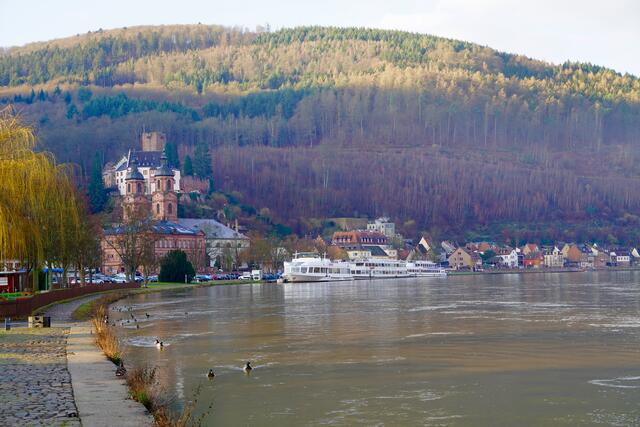 
An der alten Mainbrücke in Miltenberg herrscht schon rege Betriebsamkeit. Die Wartungsarbeiten am Bauwerk und an der Rampe werden zügig durchgeführt. Am Ufer selbst hat das Federvieh das Sagen.  Um acht Uhr ist die Natur noch unter sich. 