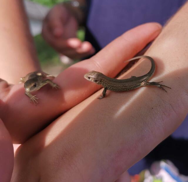 Foto: Stadtjugendpflege Obernburg