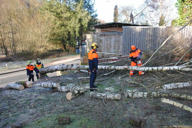 Foto: Bilder: THW-Miltenberg