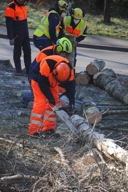 Foto: Bilder: THW-Miltenberg