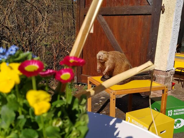 Foto: SLH Hobbach