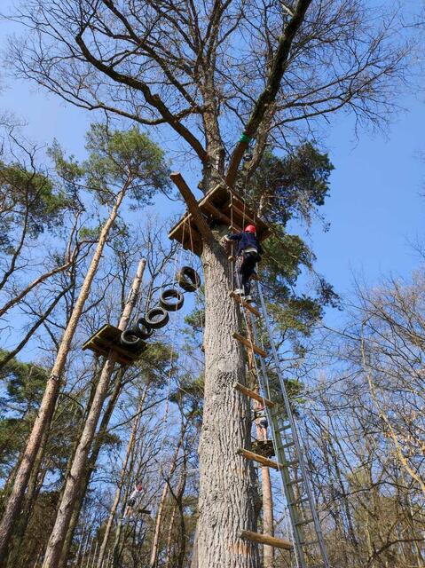 Foto: Kletterwald Silvestria