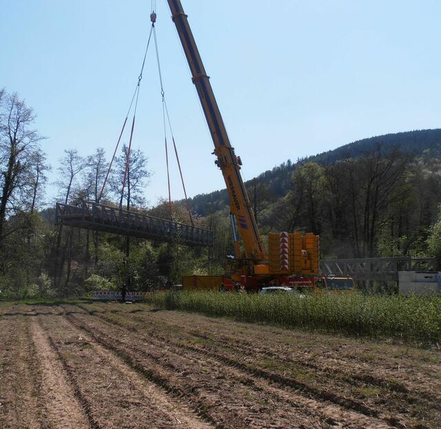 ...schweben langsam an den Bäumen vorbei...