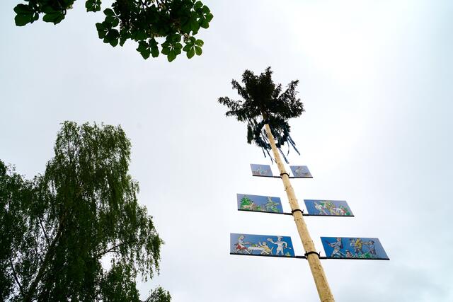 Schon König Ludwig I. von Bayern lobte den Maibaum "als eine wohl zu gönnende Vergnügung des Landvolkes"  - Maibaum in Miltenberg-Wenschdorf. 