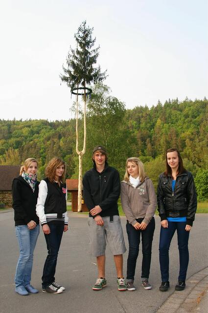 Wenn der Maibaum in Städten auftauchte, bestand eher die Chance, dass dies schriftlich dokumentiert wurde – auf dem Land hingegen wurde dieses Brauchtum meist von relativ lose gebundenen Junggesellengruppen (Burschenschaft, Junggesellenverein), der Jugend oder Vereinen erhalten. Gesehen in Eichenbühl-Pfohlbach. Foto Roland Schönmüller
