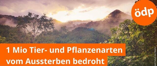 Tiere und Pflanzen