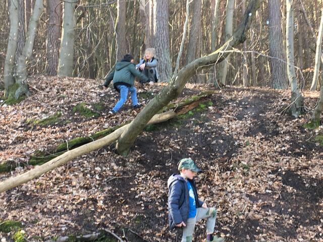 Spaziergang | Foto: Montessorischule Soden