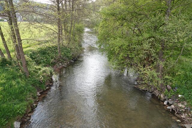Die Erf bei Pfohlbach. 