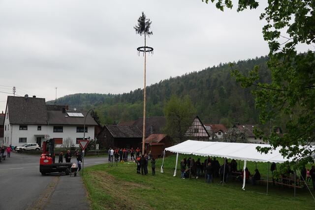 Maibaum-Aufstellung in Eichenbühl-Pfohlbach.