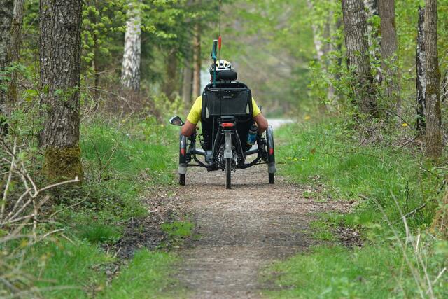 Geheimtipp zum Wandern und Erkunden: der Limes-Lehrpfad bei Walldürn im Odenwald.