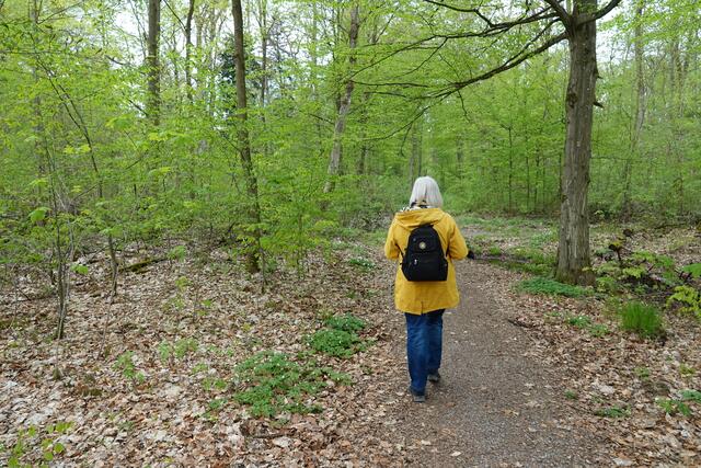 Geheimtipp zum Wandern und Erkunden: der Limes-Lehrpfad bei Walldürn im Odenwald.