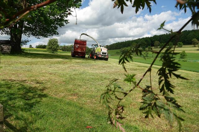 Heute findet die erste Gras-Mahd es als hochwertiges Kraft-Silagefutter oder für die Biogasanlage Verwendung.