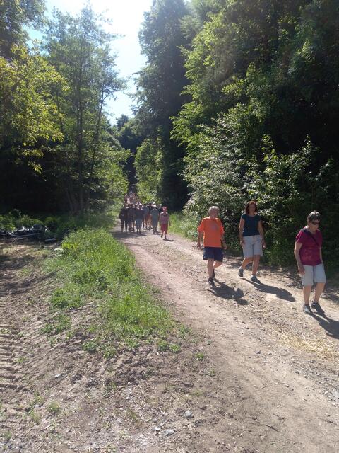 Hinunter zum Lauterhof | Foto: Ferdinand Lang