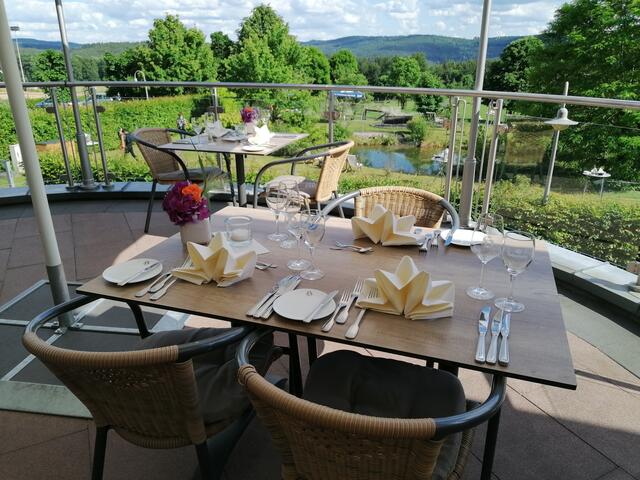 Heimathenhof Heimbuchenthal: Blick von der großen Terrasse auf den Teichgarten. | Foto: Rindsfüsser