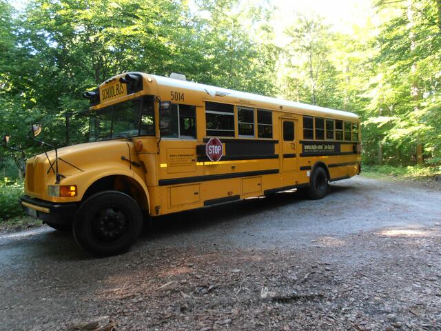 Hingucker im Wald: ein American School Bus Baujahr 2004