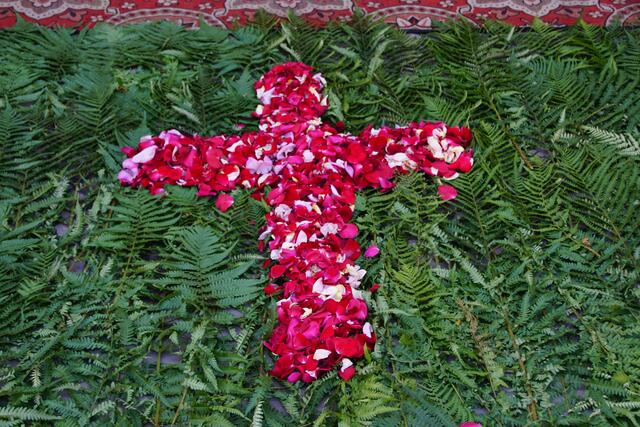  Pars pro toto: Nach dem Volksglauben schmückender und segensreicher Blumenschmuck am Fronleichnam: am Wegrand, auf der Prozessionsstraße und floraler Teppich an Frei-Ältaren. 