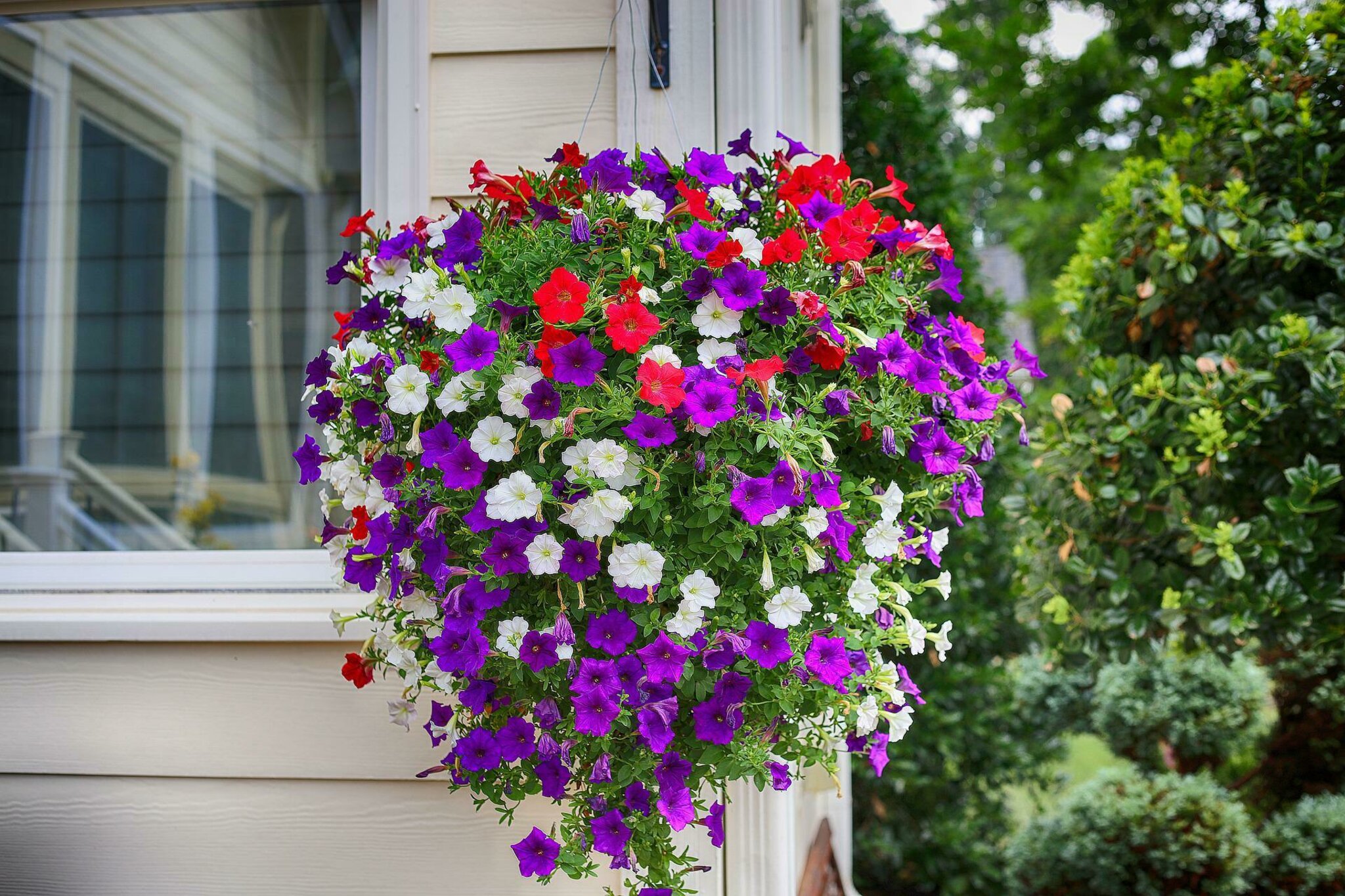 Starlit Patio Gartenflagge Hahn – 30,5 X 45,7 Cm, Doppelseitig, Polyester, Für Frühling & Sommer