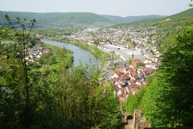 Blick ins Maintal von der Freudenburg aus