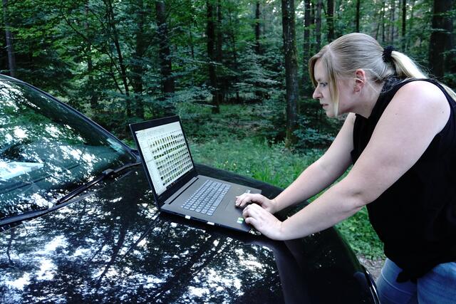 Ein gesunder, widerstandsfähiger Wald ist in Zeiten des gravierenden Klimawandels ein wertvolles Gut der ganzen Gesellschaft.