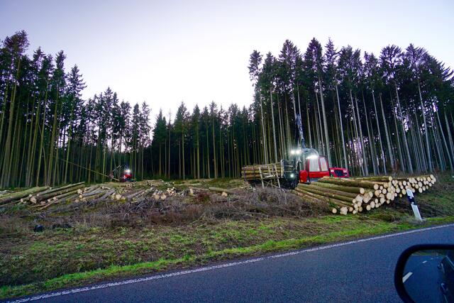Bei dieser „Zeitreise zum Zukunftswald“ werden vielfältige Fragen und potentielle Lösungen thematisiert, beispielsweise

    „Mit welchen Bäumen können Besitzer ihren Wald für die Zukunft fit machen?“ oder
    „Wie könnten unsere Wälder aussehen, wenn die Temperaturen weiter steigen?“ 



