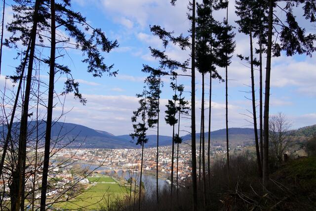 
„Wir machen eine Zeitreise zum Zukunftswald“ ...
