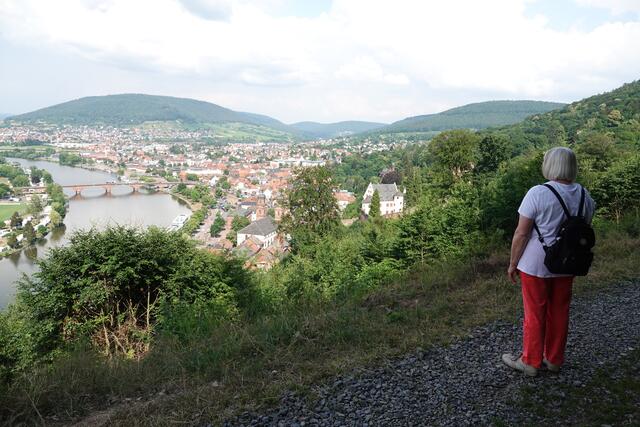 Miltenberg habe – so Bürgermeister Bernd Kahlert - mit seiner Forstbetriebsfläche von rund 3000 Hektar den viertgrößten Stadtwald in Bayern. 