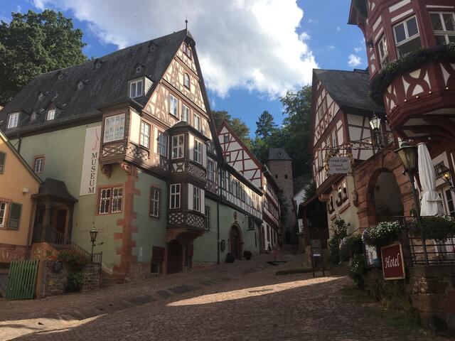 Der Ausflug nach Mespelbrunn weckt Erinnerungen an den bekannten Film "Das Wirtshaus im Spessart" (u.a. mit Liselotte Pulver), wobei Szenen auch in Miltenberg am Schnatterloch (Marktplatz) gedreht wurden.