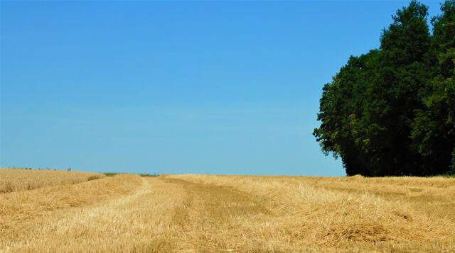 Foto: Guido Mayer
