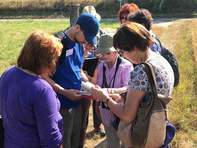 Die Pflanzenbestimmungskurse waren sehr gefragt. Das gemeinsame „Botanisieren“ in der Natur machte Jung und Alt sehr viel Spaß. | Foto: Dr. Steffen Scharrer