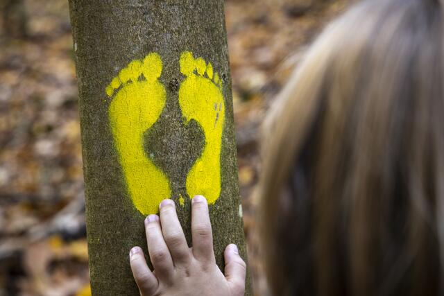 Unterwegs auf dem Rundweg „3 am Main“. | Foto: Tourismusgemeinhaft DREI AM MAIN / Holger Leue
