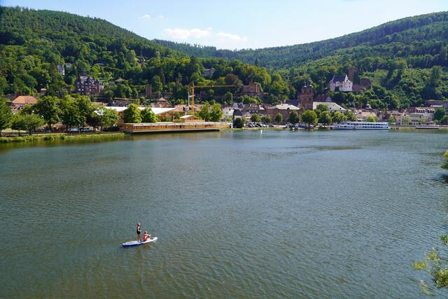 Auf dem Main sind Paddler und Boote unterwegs.