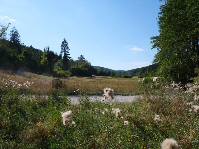 Naturschutzgebiet "Weihersgrund"  | Foto: Christian Fahs