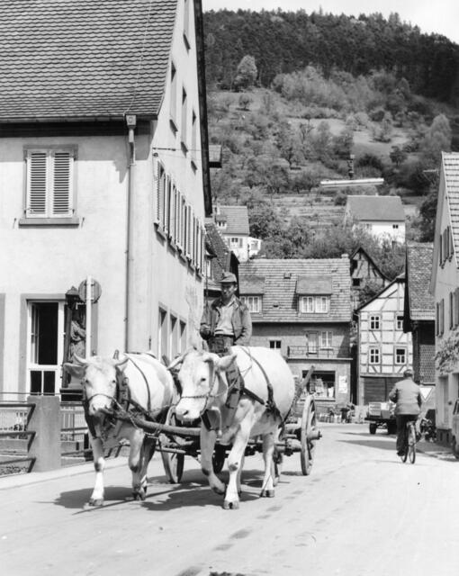 Foto: Bilder: Archiv Marktgemeinde Schneeberg