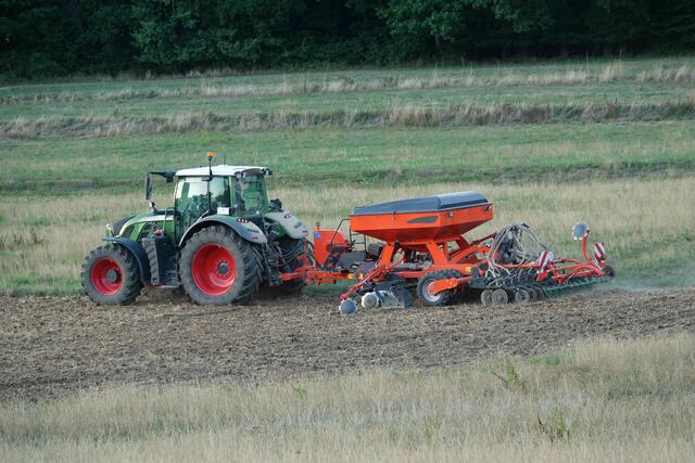 Eine andere Bezeichnung für Mariä Geburt war  „Unsere Frau in der Saat“  als Anspielung an die Aussaat des Winterkorns. Bauernregeln nehmen hierfür Bezug, beispielsweise :  „Mariä gebor’n / Bauer sä Weiz' und Korn“ oder  „Nach Mariä Geburtstag, /der Sämann nicht mehr warten mag.“ 
Foto Roland Schönmüller