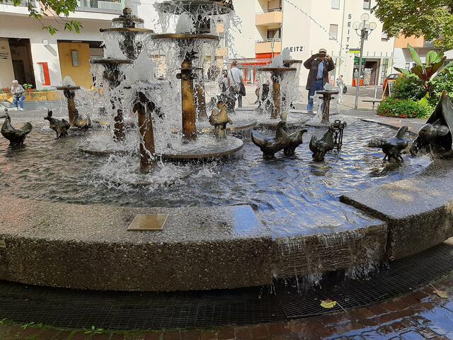 Der "Elwetritschen"-Brunnen  | Foto: Gertraud Frank