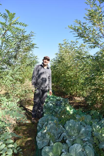 Foto: Andrea Kaller-Fichtmüller