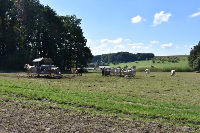 Foto: Andrea Kaller-Fichtmüller