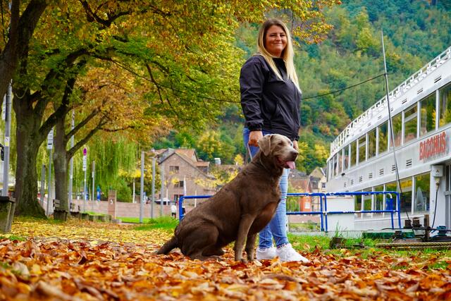  Auch an der Miltenberger Mainpromenade ist der Herbst angekommen. Wunderschön ist das Ambiente, wo man spazieren gehen und verweilen kann. 
