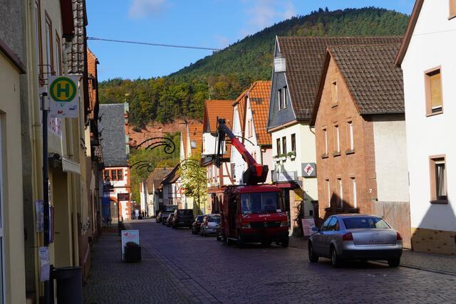 Herbstliches Bürgstadt am Main im November 2022 zwischen Gänskerb- und Weihnachts-Vorbereitungen 
