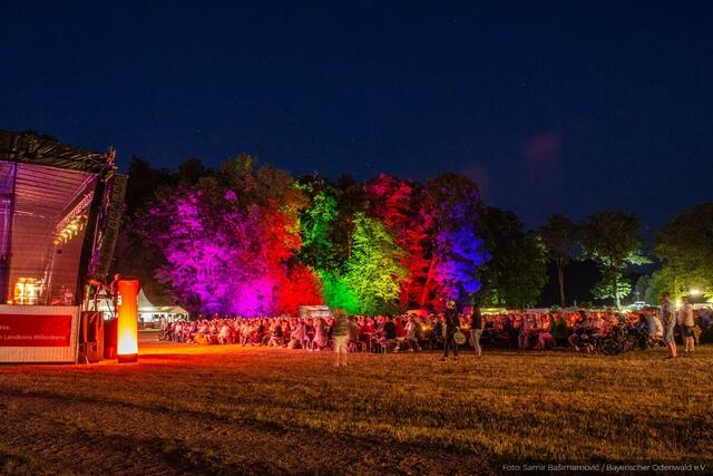 Illumination im Seegarten | Foto: Samir Bašimamović für Odenwald Tourismus GmbH