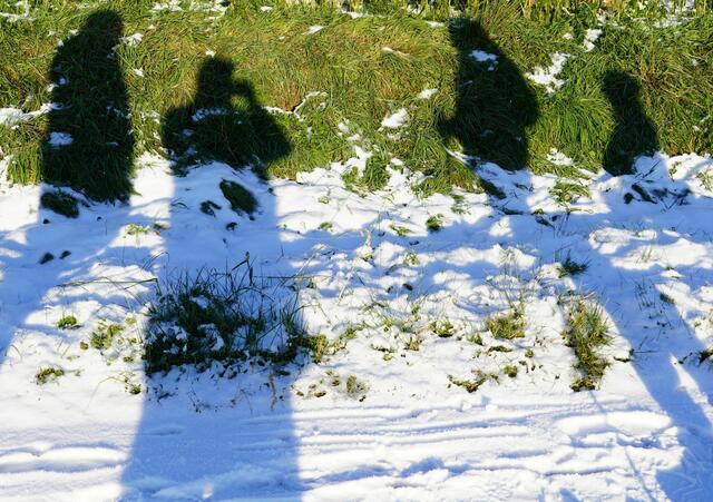 Grüne oder weiße Weihnachten? Winter und neues Jahr - was werden wir noch erwarten?